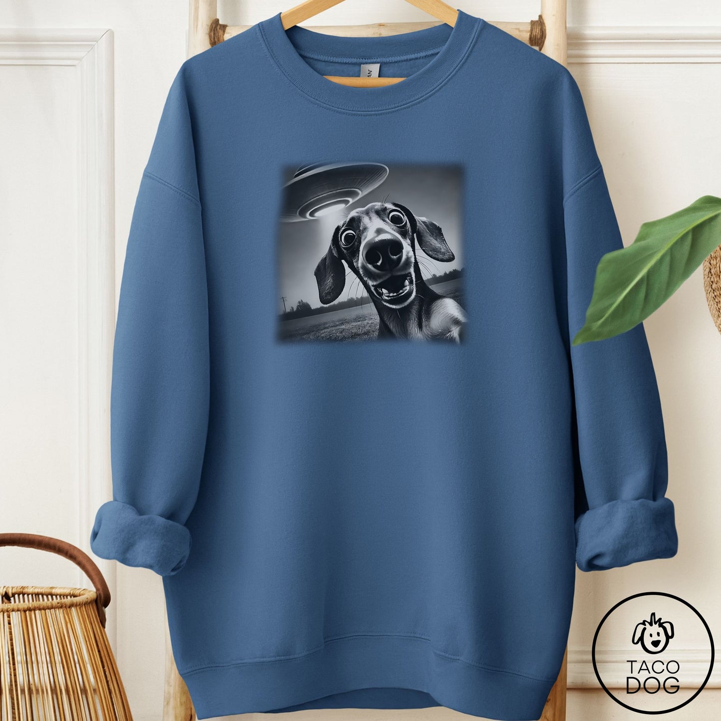 Dachshund Selfie Sweatshirt