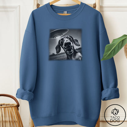 Dachshund Selfie Sweatshirt