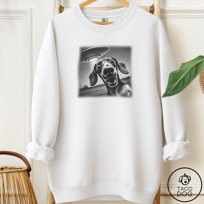 Dachshund Selfie Sweatshirt