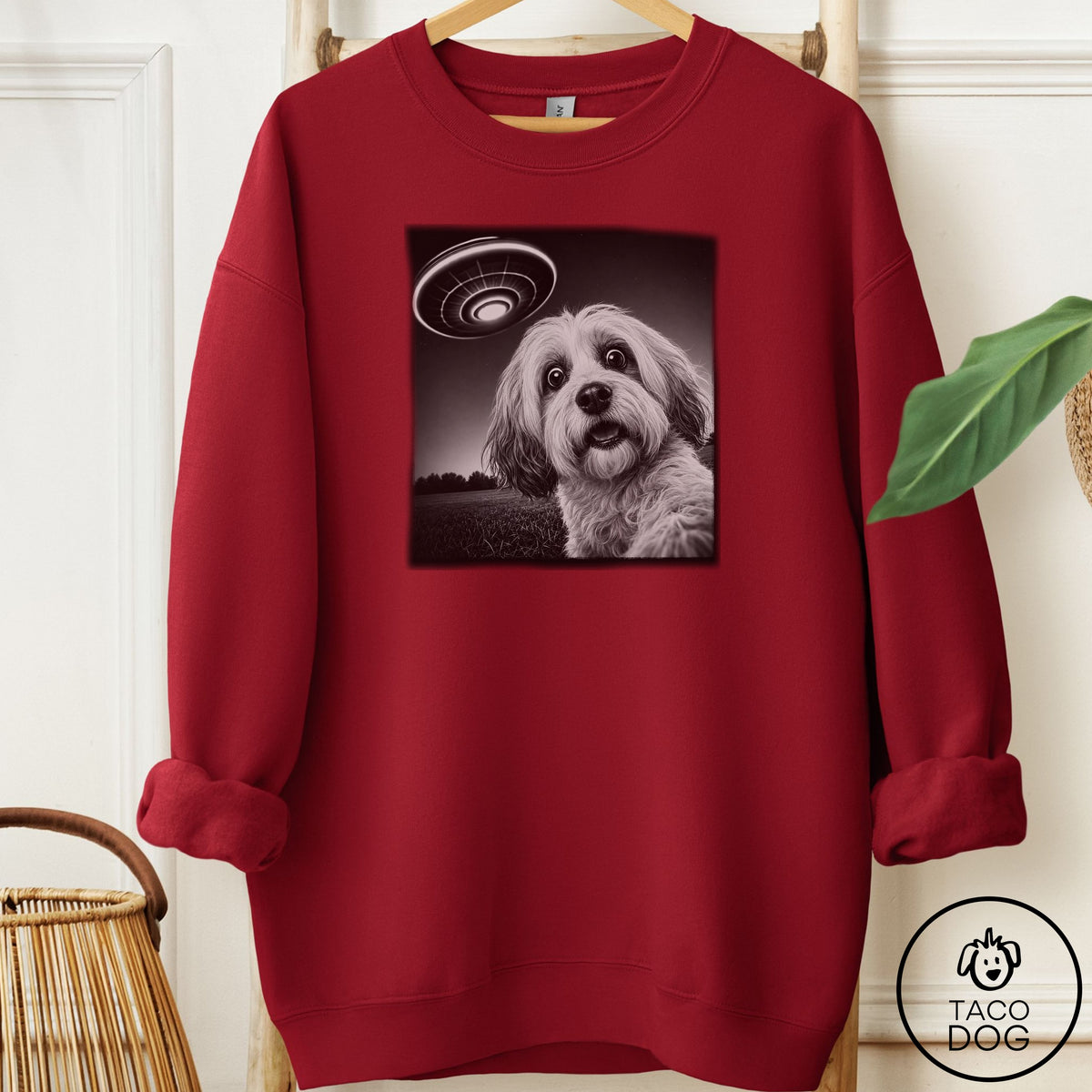 Havanese Selfie Sweatshirt