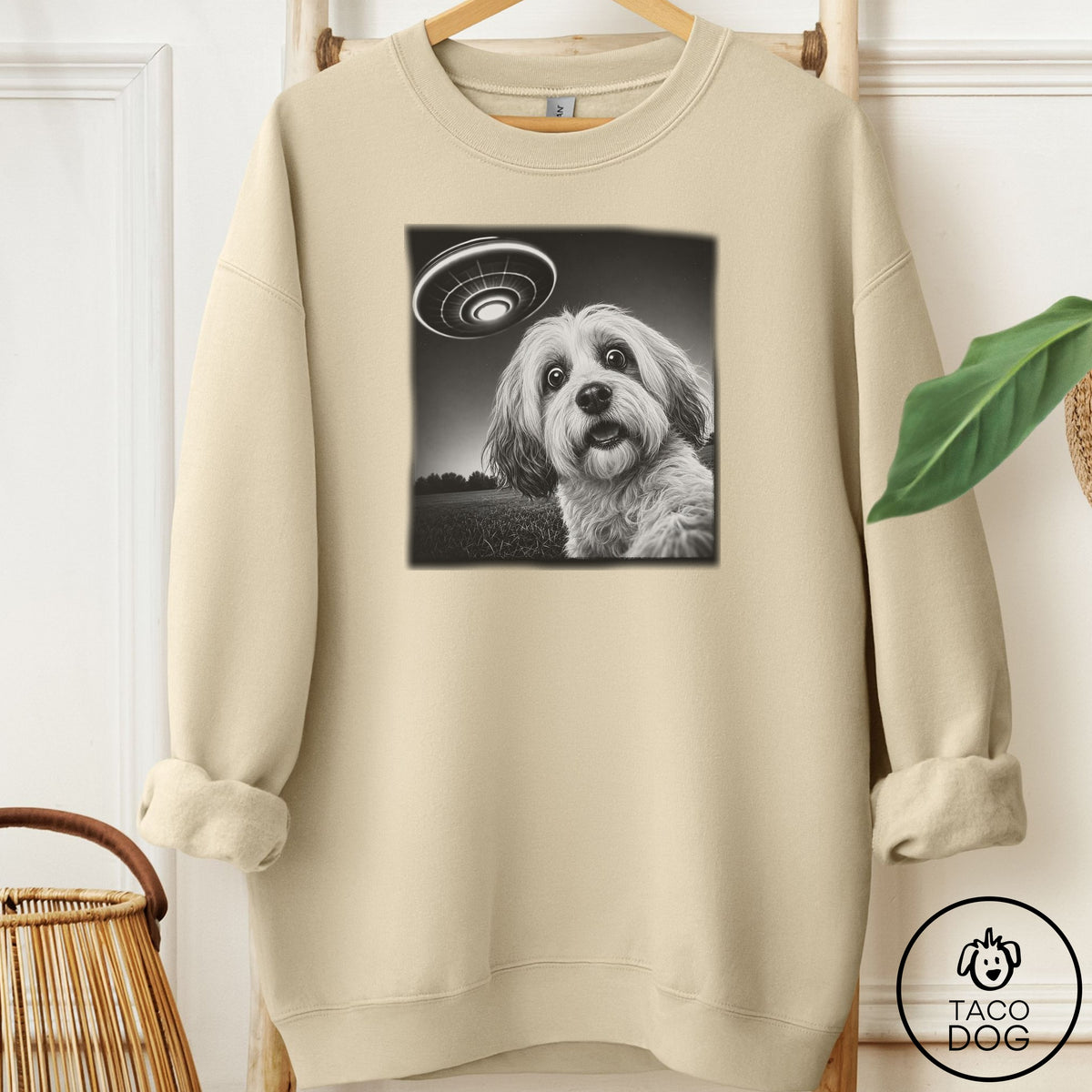 Havanese Selfie Sweatshirt