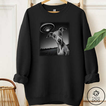 Italian Greyhound Whippet Selfie Sweatshirt