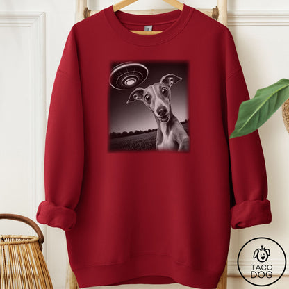 Italian Greyhound Whippet Selfie Sweatshirt