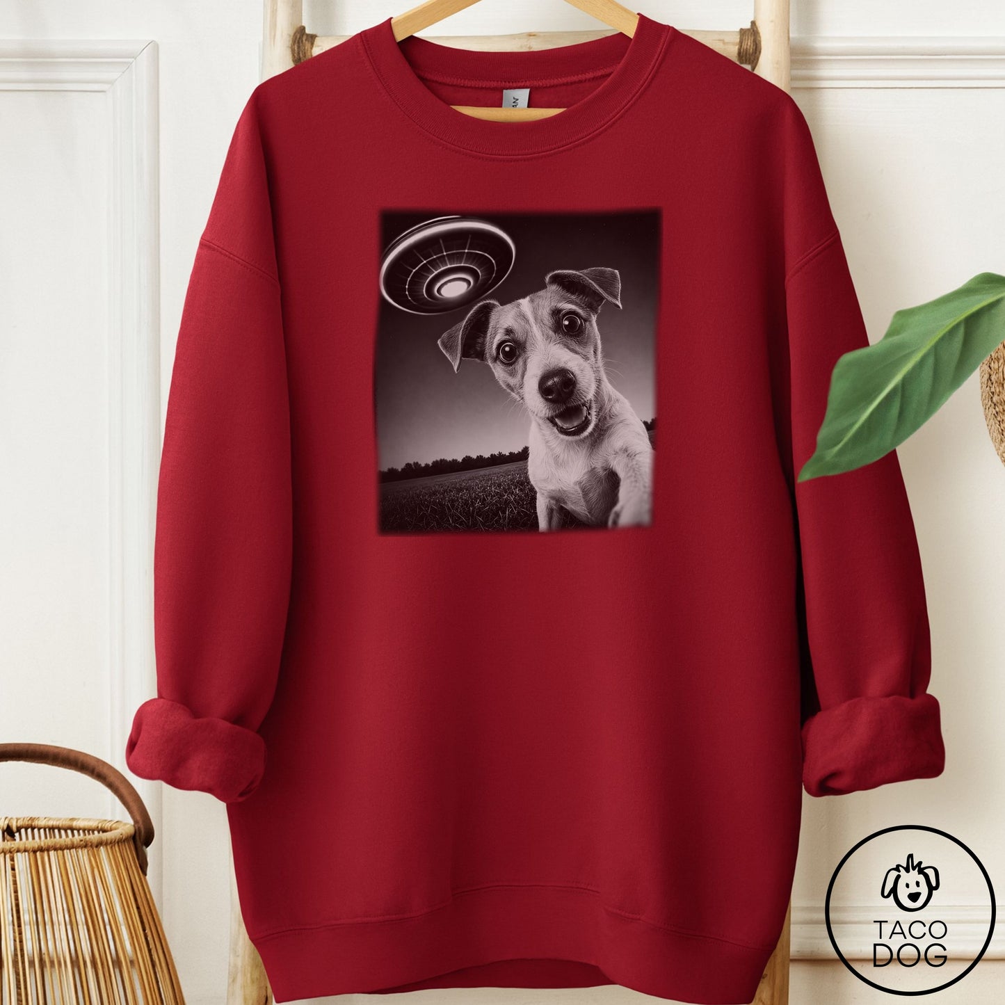 Jack Russell Selfie Sweatshirt