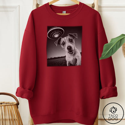 Jack Russell Selfie Sweatshirt