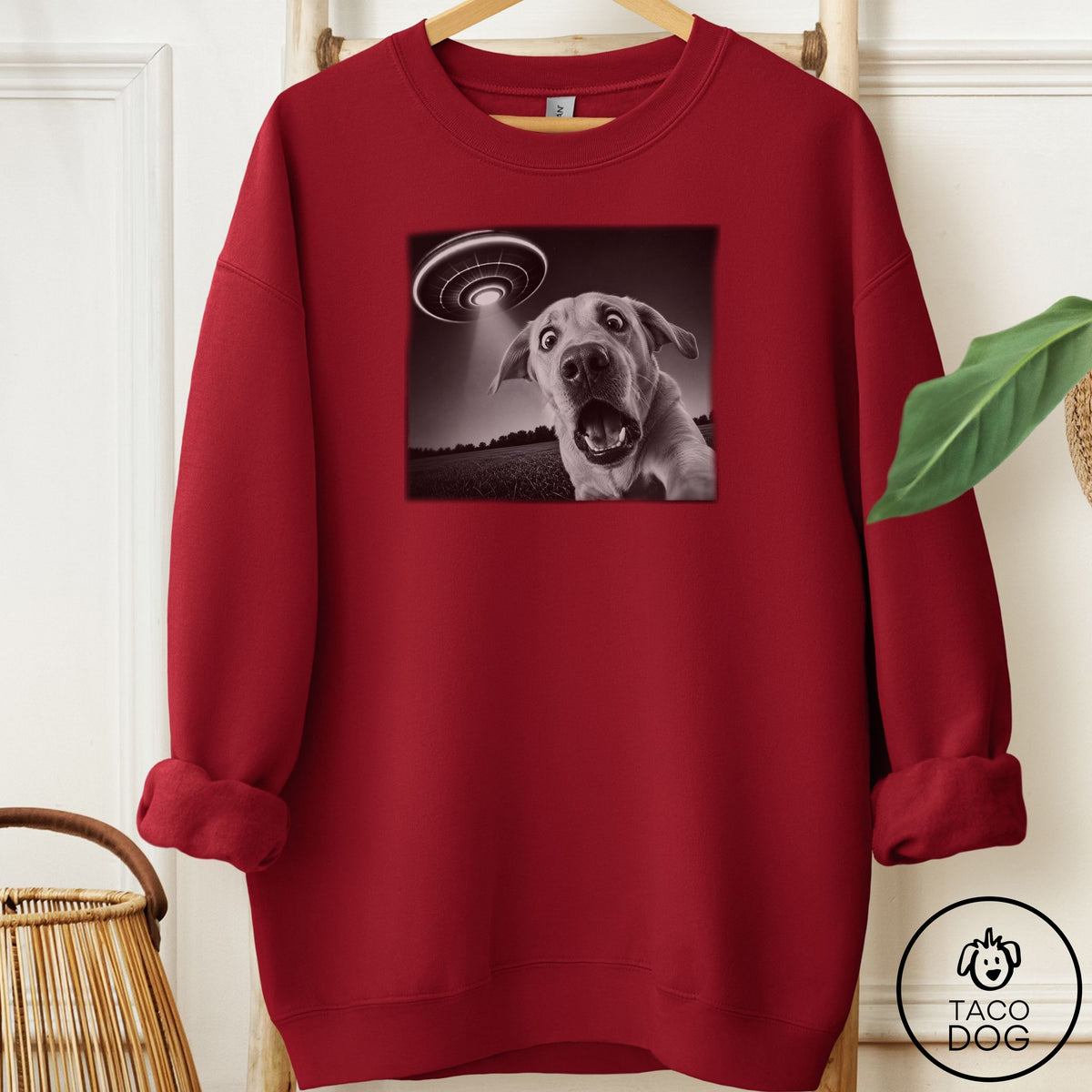 Labrador Selfie Sweatshirt