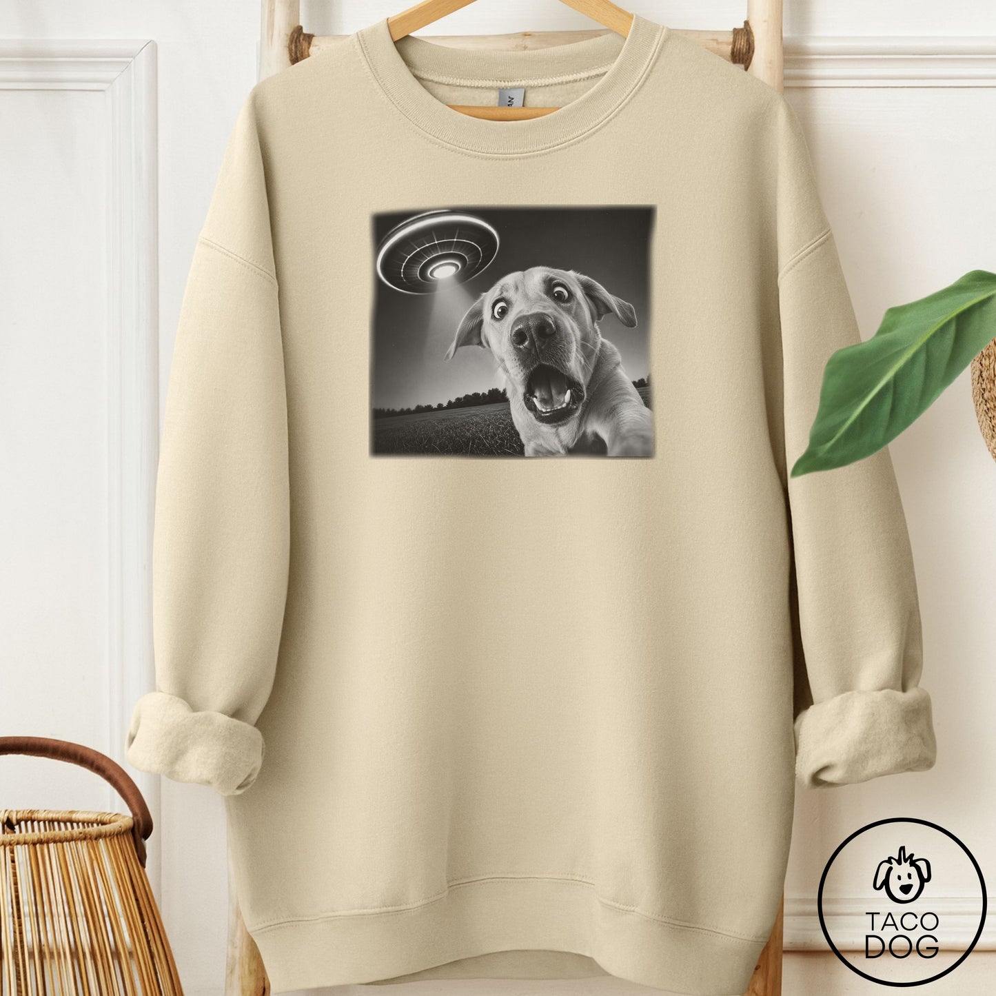 Labrador Selfie Sweatshirt