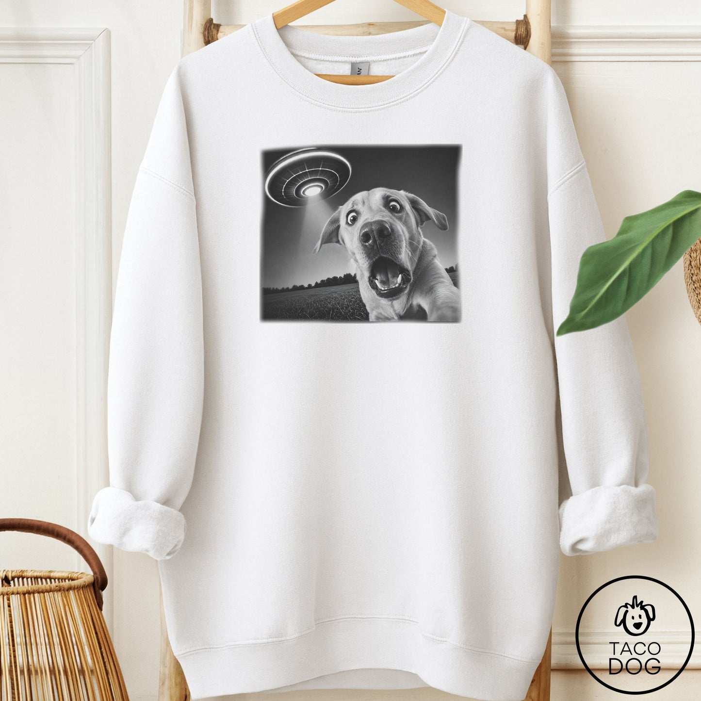 Labrador Selfie Sweatshirt
