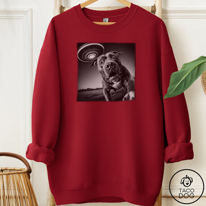 Pitbull Selfie Sweatshirt