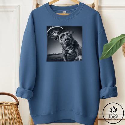 Pitbull Selfie Sweatshirt