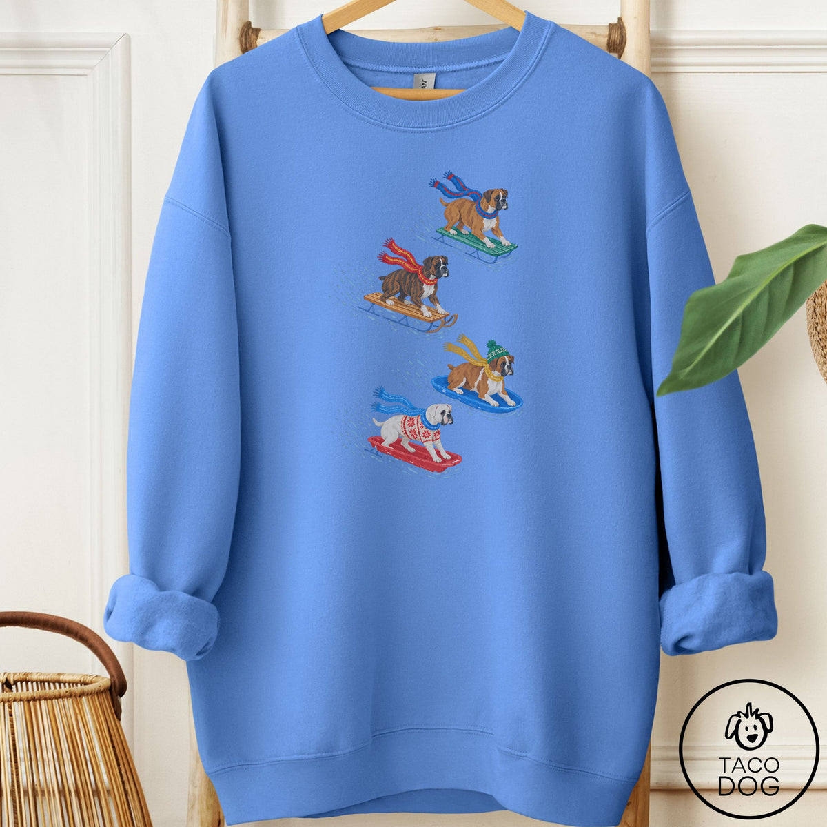 Boxer Sledding Sweatshirt Carolina Blue Taco-Dog