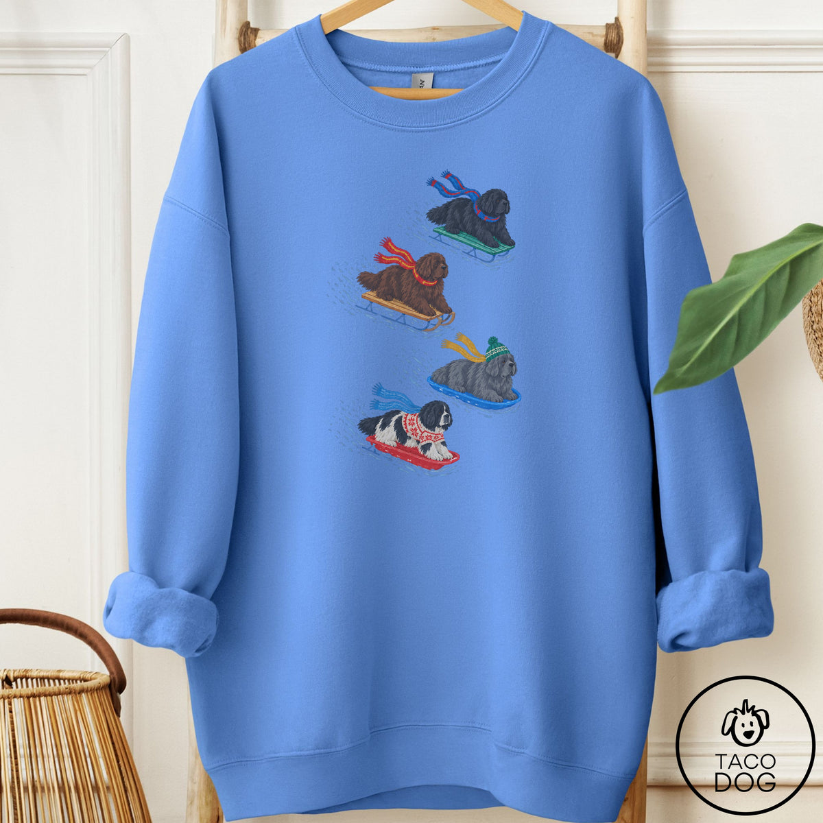 Newfoundland Sledding Sweatshirt Carolina Blue Taco-Dog