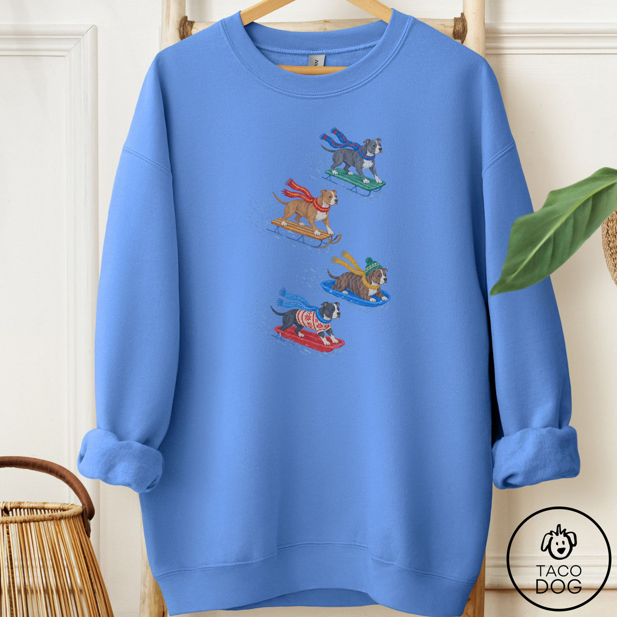 Pitbull Sledding Sweatshirt Carolina Blue Taco-Dog