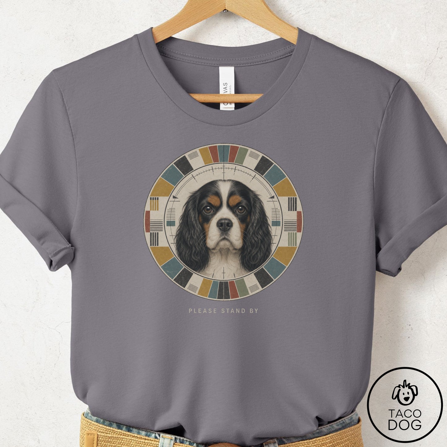 Cavalier King Charles Spaniel Stand by T-Shirt