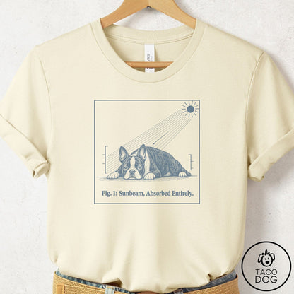 Boston Terrier Sunbeam T-Shirt Natural Taco-Dog
