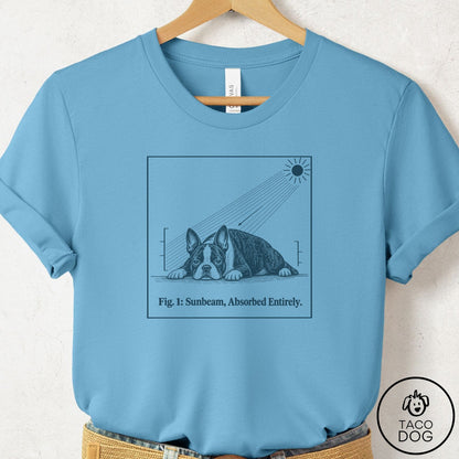 Boston Terrier Sunbeam T-Shirt Ocean Blue Taco-Dog