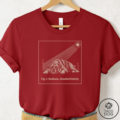 Boxer Sunbeam T-Shirt Canvas Red Taco-Dog
