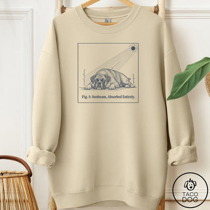 Boxer Sunbeam Sweatshirt Sand Taco-Dog