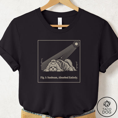 Maltese Sunbeam T-Shirt Black Taco-Dog