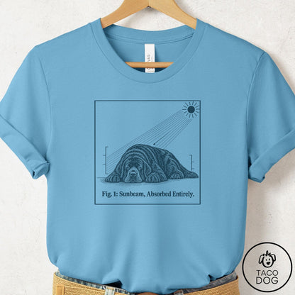 Newfoundland Sunbeam T-Shirt Ocean Blue Taco-Dog