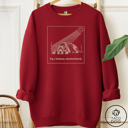 Pitbull Sunbeam Sweatshirt Garnet Taco-Dog