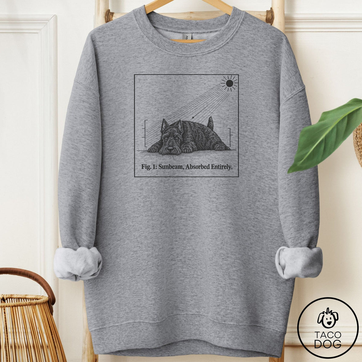 Scottie Sunbeam Sweatshirt Graphite Heather Taco-Dog