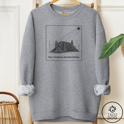 Scottie Sunbeam Sweatshirt Graphite Heather Taco-Dog