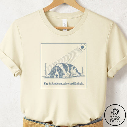 Springer Spaniel Sunbeam T-Shirt Natural Taco-Dog