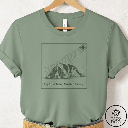 Springer Spaniel Sunbeam T-Shirt Sage Taco-Dog