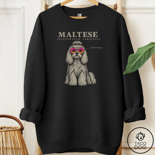 Maltese Sunglasses Field Guide Sweatshirt Black Taco-Dog