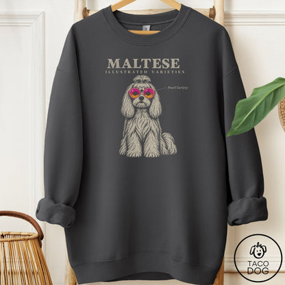 Maltese Sunglasses Field Guide Sweatshirt Charcoal Taco-Dog