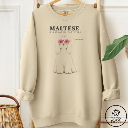 Maltese Sunglasses Field Guide Sweatshirt Sand Taco-Dog