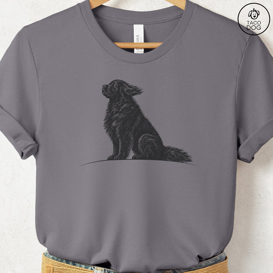 Newfoundland Tail Wind T-Shirt Storm Taco-Dog