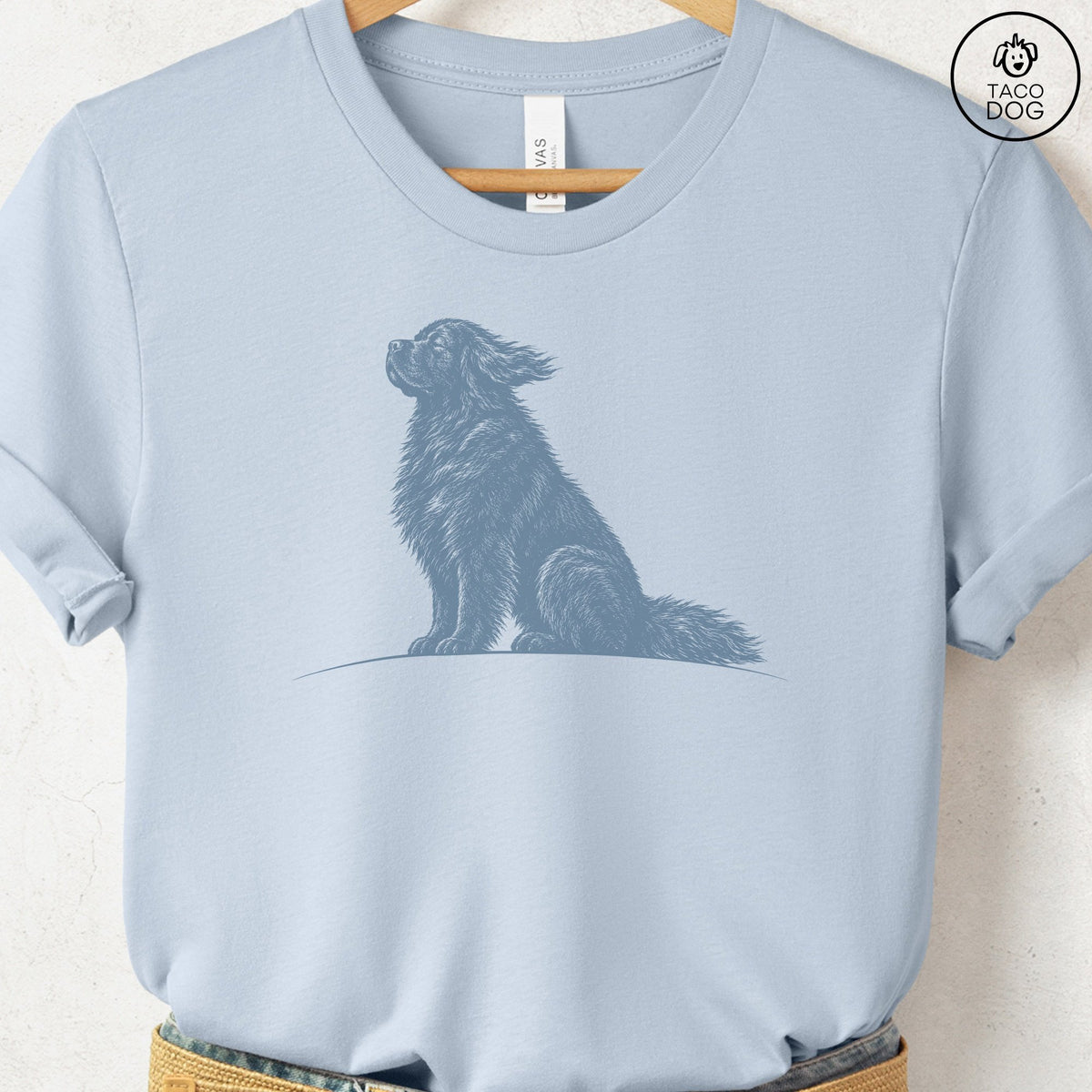 Newfoundland Tail Wind T-Shirt Light Blue Taco-Dog