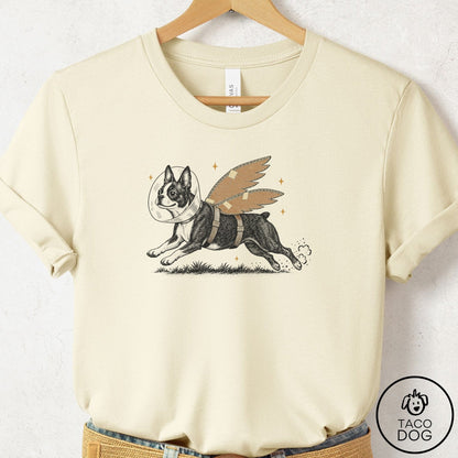 Boston Terrier Vet Wings T-Shirt Natural Taco-Dog