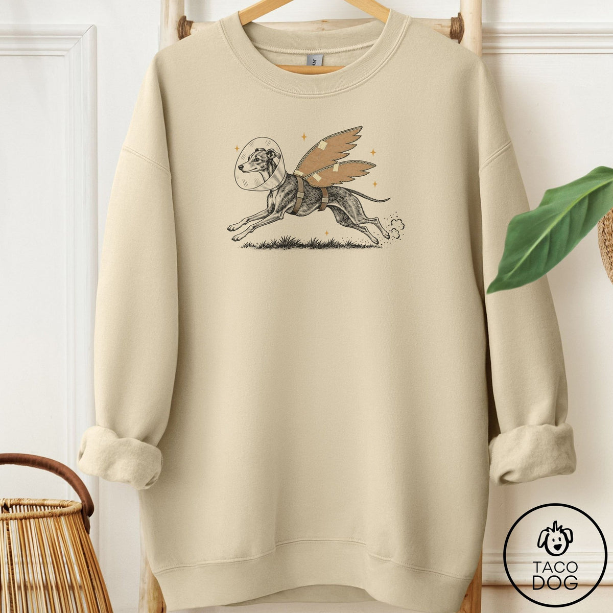 Italian Greyhound Whippet Vet Wings Sweatshirt Sand Taco-Dog