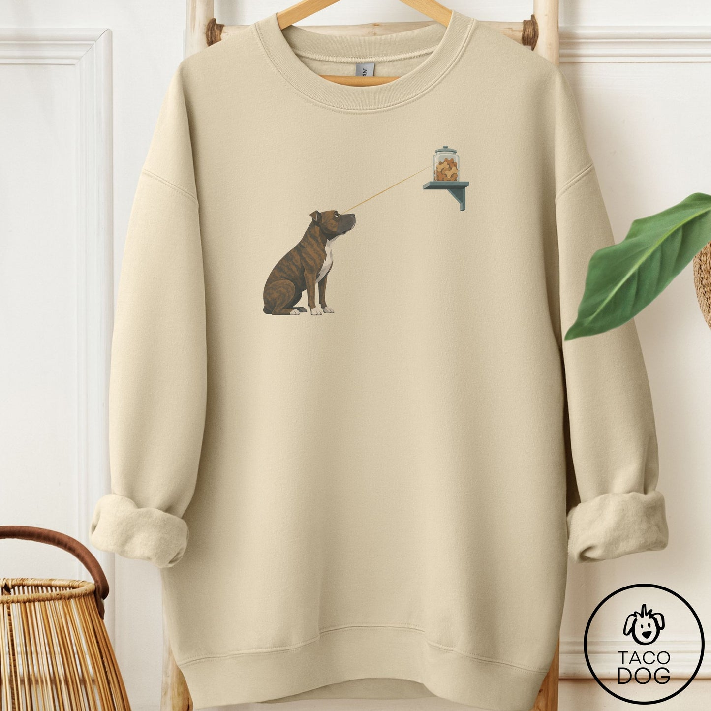 Pitbull Willpower Sweatshirt