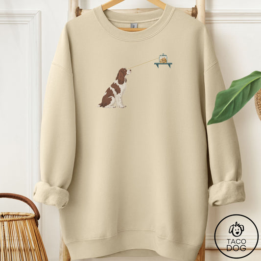 Springer Spaniel Willpower Sweatshirt Sand Taco-Dog